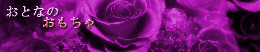 おとなのおもちゃ